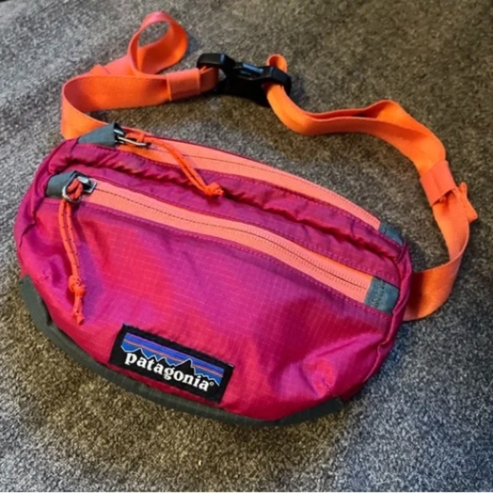Patagonia Fanny Pack Bag